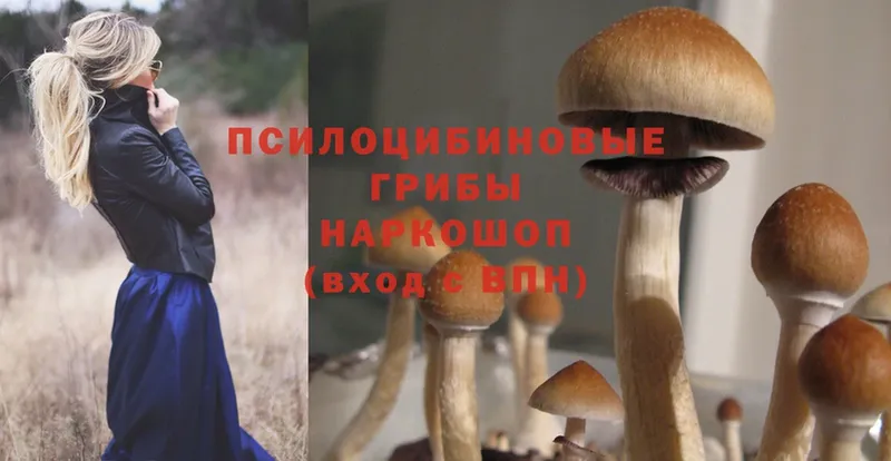 даркнет сайт  Великий Устюг  Псилоцибиновые грибы Psilocybe 